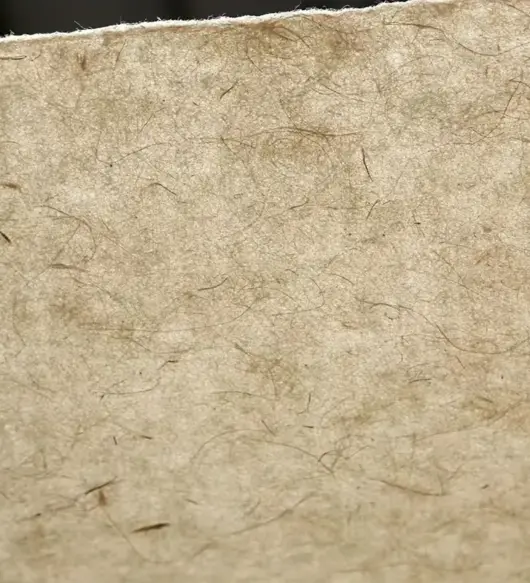Vintage-Inspired Plant Fiber Paper
