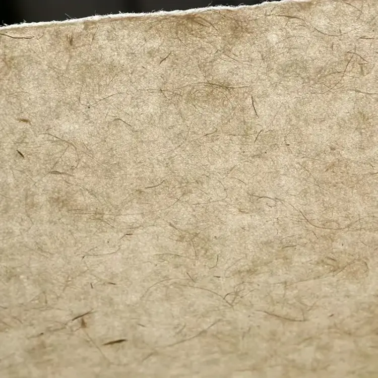 Vintage-Inspired Plant Fiber Paper